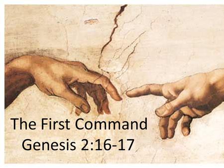 The First Command Genesis 2:16-17. The First Command What can we learn about The Lawgiver from the laws He gives? What are the characteristics of His.