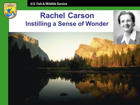 Rachel Carson Instilling a Sense of Wonder. Rachel Carson: Role Model Yale Collection of American Literature Beinecke Rare Book & Manuscript Library.