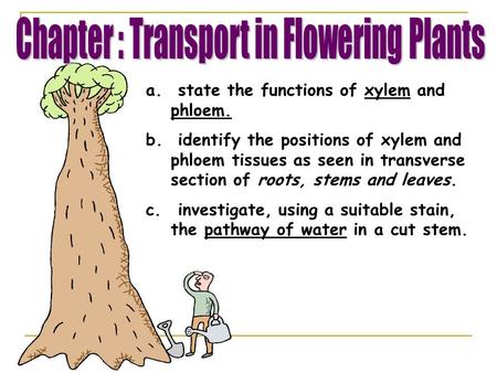 Chapter : Transport in Flowering Plants