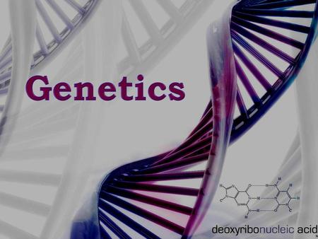 Genetics  The members of this family tree are related and so they share certain similar characteristics. So why don’t all family members look exactly.
