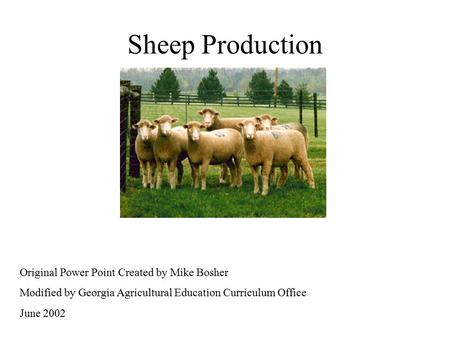 Sheep Production Original Power Point Created by Mike Bosher Modified by Georgia Agricultural Education Curriculum Office June 2002.
