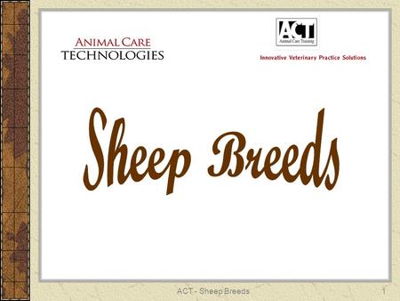 ACT - Sheep Breeds1. 2 RAMBOUILLET Fine Wool Breed (most popular) White fleece Rams – horned or polled Ewes – polled France – U.S. 1840.