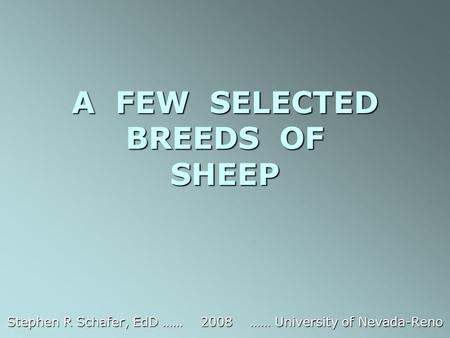 A FEW SELECTED BREEDS OF SHEEP Stephen R Schafer, EdD …… 2008 …… University of Nevada-Reno.
