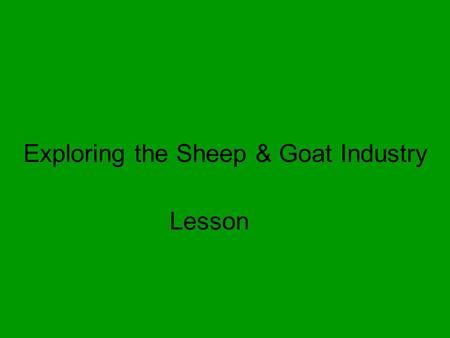 Exploring the Sheep & Goat Industry