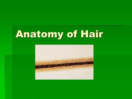 Anatomy of Hair.
