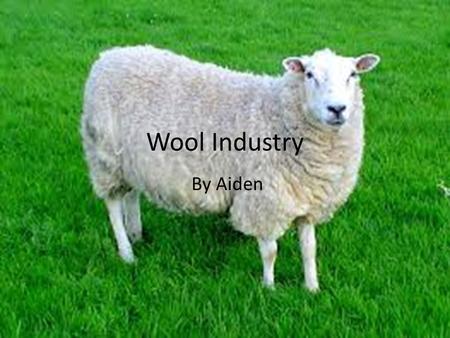 Wool Industry By Aiden.