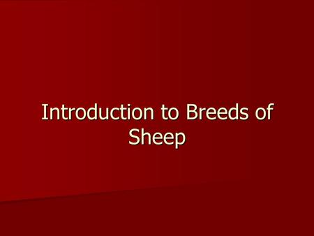 Introduction to Breeds of Sheep. What will we be learning? Today we will looking at the history on Sheep Production. Today we will looking at the history.