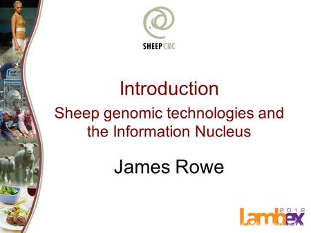 Sheep genomic technologies and the Information Nucleus