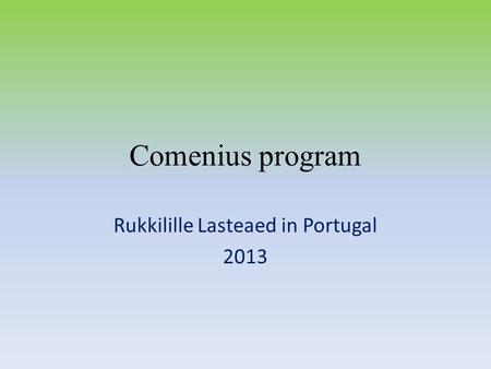 Comenius program Rukkilille Lasteaed in Portugal 2013.