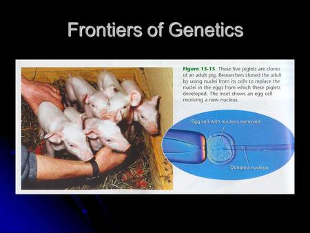 Frontiers of Genetics.