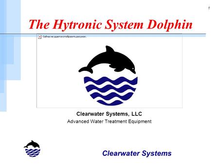 The Hytronic System Dolphin