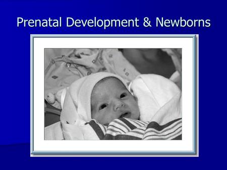Prenatal Development & Newborns. 1.How soon after conception does brain begin to form? 2.What are the 4 parts of the brain and the function of each?