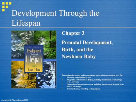 Copyright © Allyn & Bacon 2007 Development Through the Lifespan Chapter 3 Prenatal Development, Birth, and the Newborn Baby This multimedia product and.