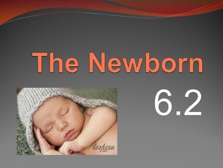 The Newborn 6.2.