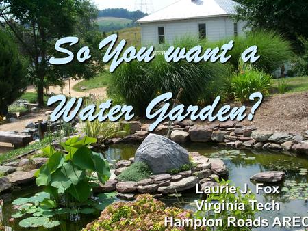 So You want a Water Garden? Laurie J. Fox Virginia Tech Hampton Roads AREC.