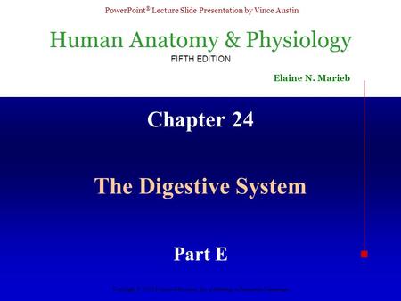 Chapter 24 The Digestive System Part E.