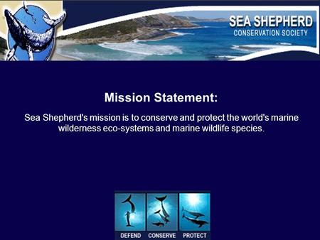 Mission Statement: Sea Shepherd's mission is to conserve and protect the world's marine wilderness eco-systems and marine wildlife species.