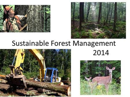 Sustainable Forest Management 2014. Why is the sustainability of forests so important? (Anthropocentric)