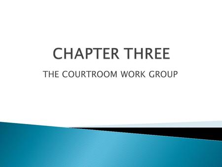 THE COURTROOM WORK GROUP