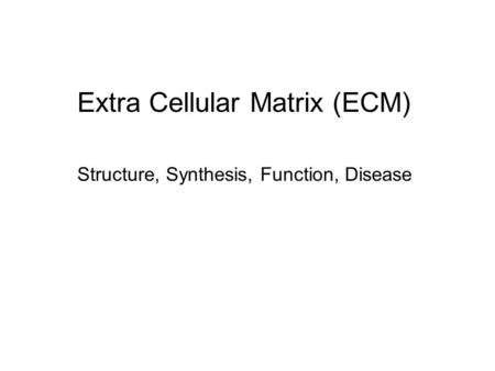 Extra Cellular Matrix (ECM)