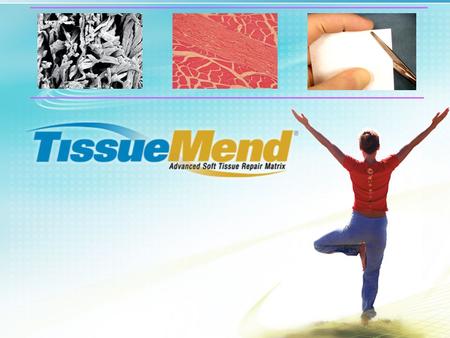Introduction TissueMend ® is a strong, suturable, porous collagen biomembrane that is derived from fetal bovine dermis. Through a proprietary process,
