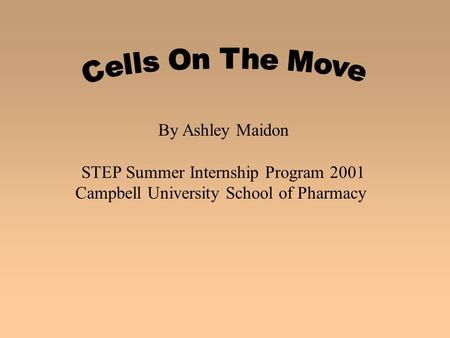 By Ashley Maidon STEP Summer Internship Program 2001 Campbell University School of Pharmacy.