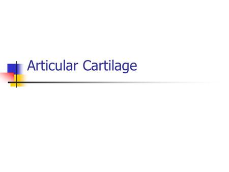 Articular Cartilage.
