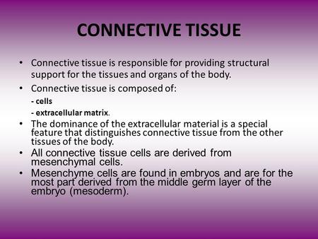 CONNECTIVE TISSUE Connective tissue is responsible for providing structural support for the tissues and organs of the body. Connective tissue is composed.