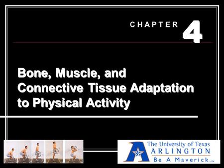 4 4 C H A P T E R Bone, Muscle, and Connective Tissue Adaptation to Physical Activity.
