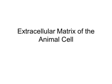 Extracellular Matrix of the Animal Cell. What is the extracellular matrix (ECM)? Something that is made by virtually all multi-cellular organisms. Elaborate.