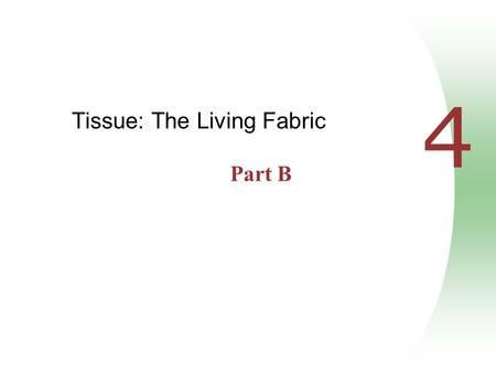 4 Tissue: The Living Fabric Part B. Modes of Secretion  Merocrine – products are secreted by exocytosis (e.g., pancreas, sweat, and salivary glands)