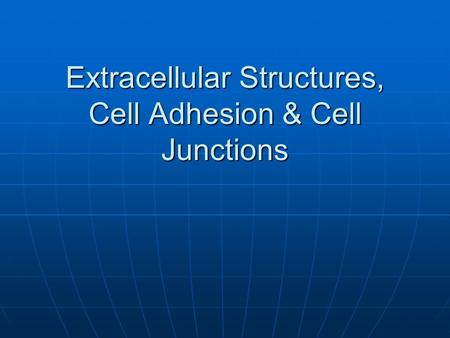 Extracellular Structures, Cell Adhesion & Cell Junctions.