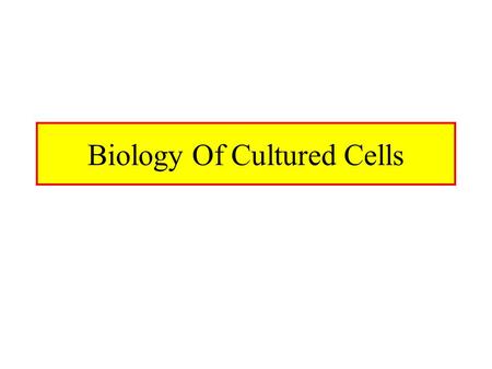 Biology Of Cultured Cells. Does Culturing Reflect Reality Culturing Deviates From In Vivo Environment –3-D matrix is disrupted (collagen, cell-cell contact)