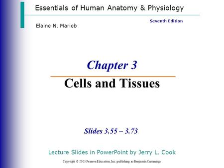 Essentials of Human Anatomy & Physiology Copyright © 2003 Pearson Education, Inc. publishing as Benjamin Cummings Slides 3.55 – 3.73 Seventh Edition Elaine.