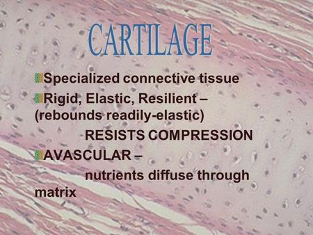 Specialized connective tissue Rigid, Elastic, Resilient – (rebounds readily-elastic) RESISTS COMPRESSION AVASCULAR – nutrients diffuse through matrix.