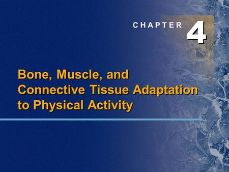 4 4 C H A P T E R Bone, Muscle, and Connective Tissue Adaptation to Physical Activity.