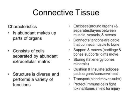 Connective Tissue Characteristics Is abundant makes up parts of organs Consists of cells separated by abundant extracellular matrix Structure is diverse.