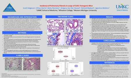Incidence of Pulmonary Fibrosis in Lungs of CUX1 Transgenic Mice Scott Helgeson 1, Ethan Harris 2, Betty Herndon 1, Gregory Van Der Heuvel 3, Richard Baybutt.