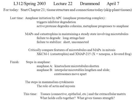 L312/Spring 2003Lecture 22Drummond April 7 For today: Start Chapter 21; tissue structure and connections today (skip plant tissues) Last time: Anaphase.