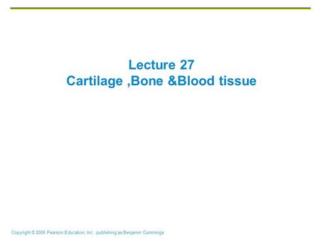 Copyright © 2006 Pearson Education, Inc., publishing as Benjamin Cummings Lecture 27 Cartilage,Bone &Blood tissue.