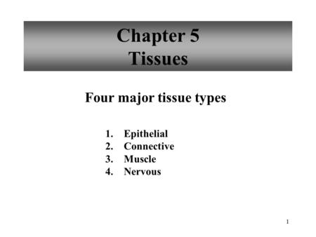 Chapter 5 Tissues Four major tissue types Epithelial Connective Muscle