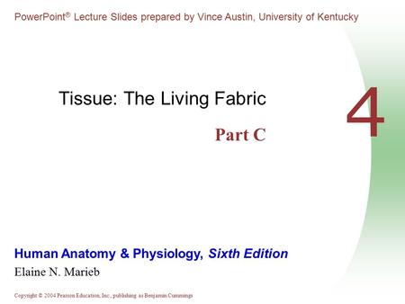 Tissue: The Living Fabric Part C