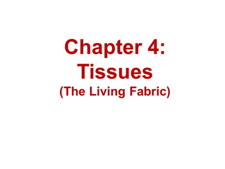 Chapter 4: Tissues (The Living Fabric).
