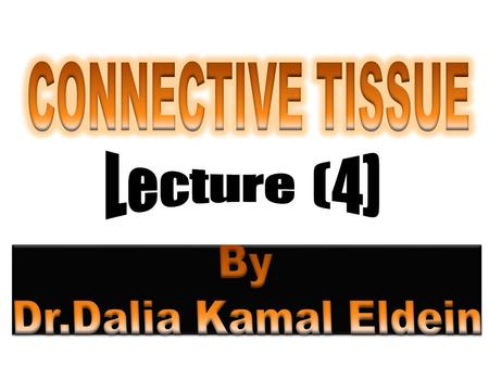  There are two main sub-classifications of connective tissue.  They are :- 1) connective tissue proper 2) specialized connective tissue.  Connective.