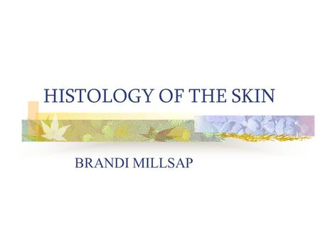 HISTOLOGY OF THE SKIN BRANDI MILLSAP Objectives Upon completion of this presentation, the learner will be able to perform the following objectives Match.