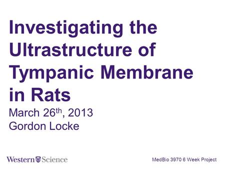 Investigating the Ultrastructure of Tympanic Membrane in Rats March 26 th, 2013 Gordon Locke MedBio 3970 6 Week Project.