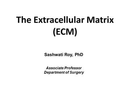 The Extracellular Matrix (ECM)