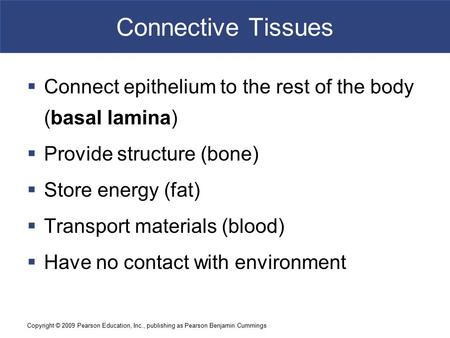 Copyright © 2009 Pearson Education, Inc., publishing as Pearson Benjamin Cummings Connective Tissues  Connect epithelium to the rest of the body (basal.