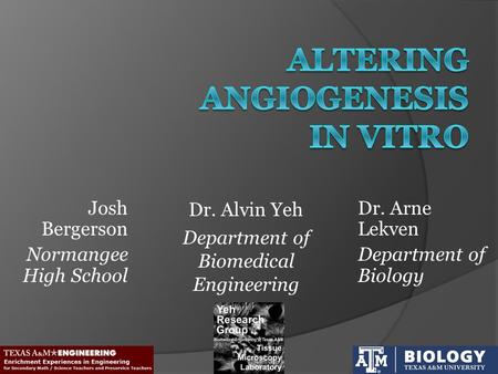 Dr. Alvin Yeh Department of Biomedical Engineering Dr. Arne Lekven Department of Biology Josh Bergerson Normangee High School.