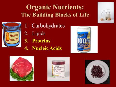 Organic Nutrients: The Building Blocks of Life 1. Carbohydrates 2.Lipids 3.Proteins 4.Nucleic Acids.